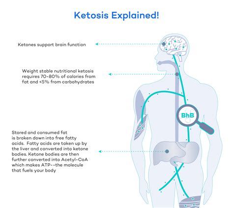 On the nutritional and therapeutic effects of ketone body d.